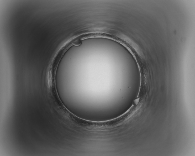 X0000102271069200807251345