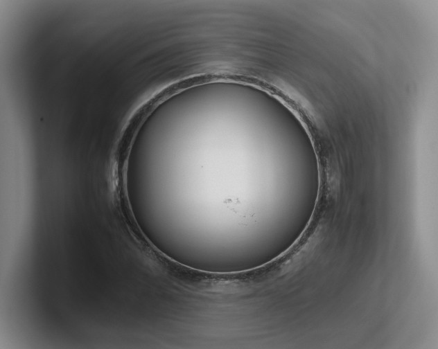 X0000102271070200807251345