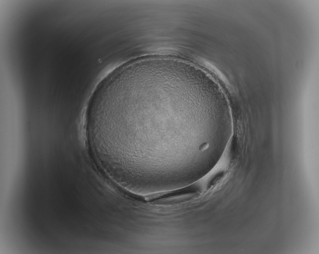 X0000102271071200807251345