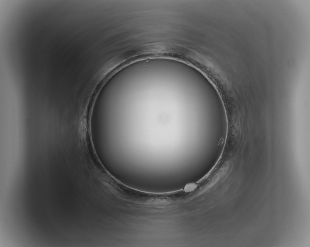X0000102271073200807251345