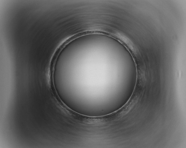 X0000102271076200807251345