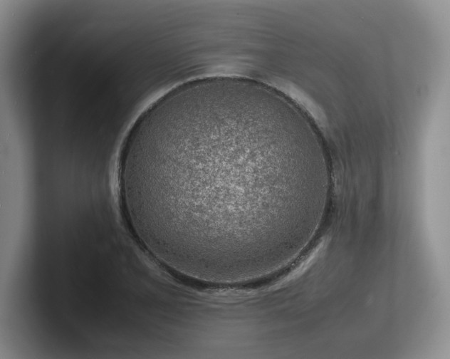 X0000102271077200807251345