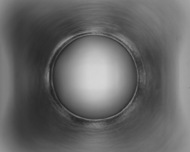 X0000102271078200807251344