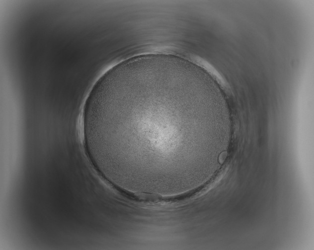 X0000102271079200807251344