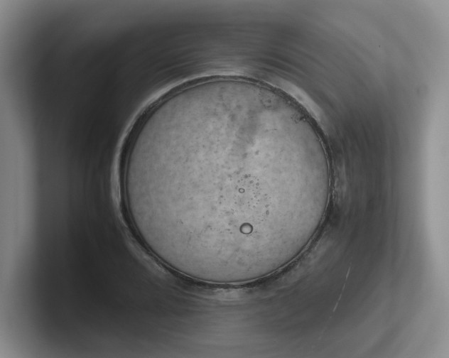 X0000102271080200807251344