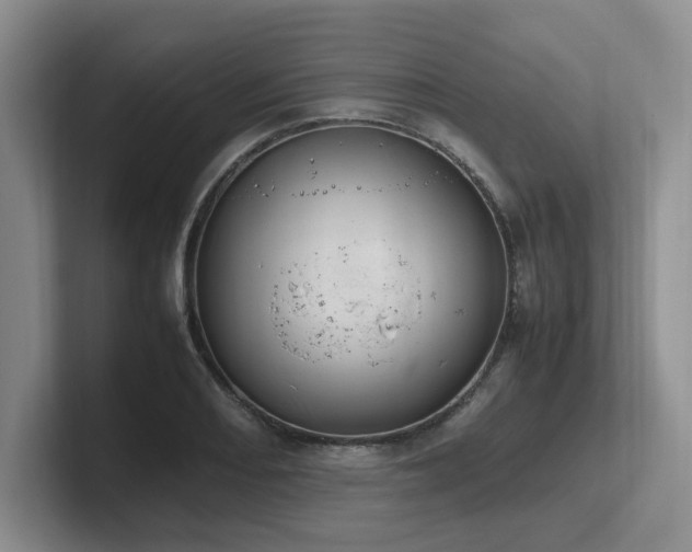 X0000102271082200807251344