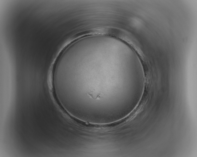 X0000102271083200807251344