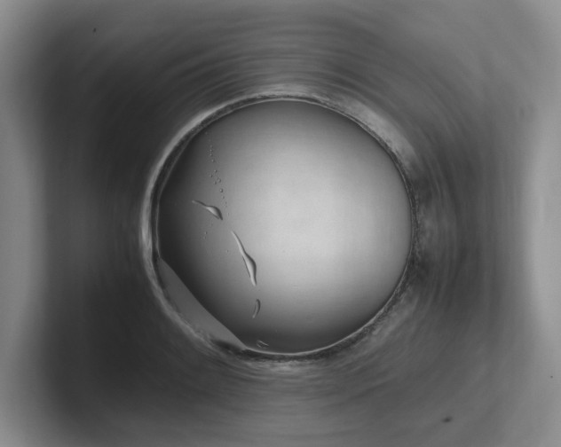 X0000102271084200807251344