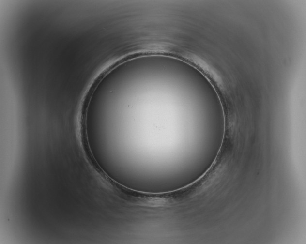 X0000102271085200807251344