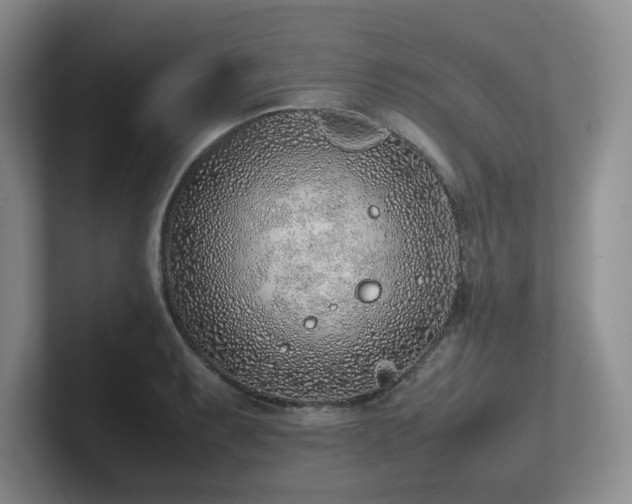 X0000102271087200807251344