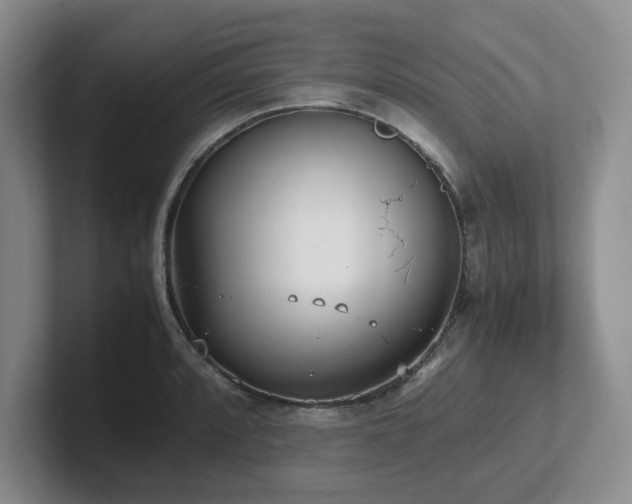 X0000102271088200807251344