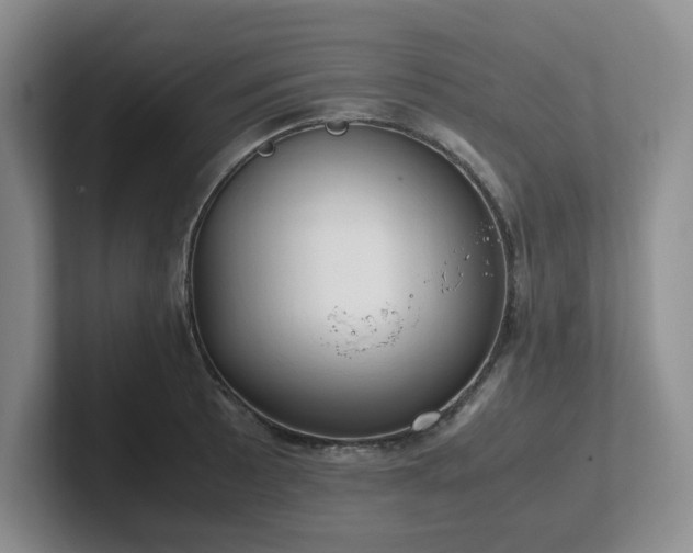 X0000102271089200807251344