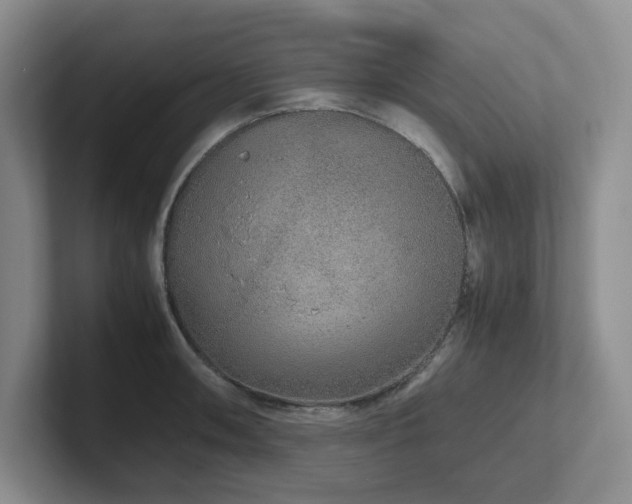 X0000102271090200807251344