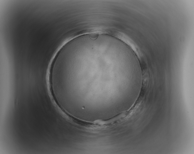 X0000102271091200807251344