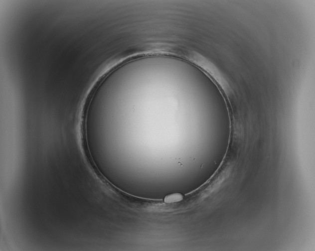 X0000102271093200807251344