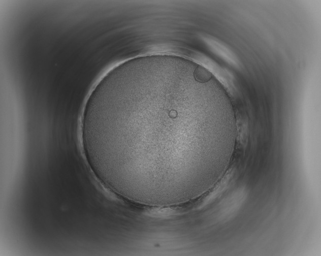 X0000102271094200807251344