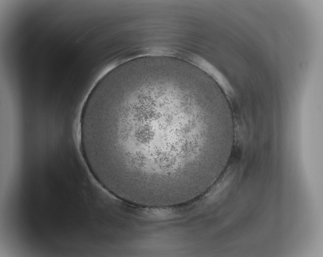 X0000102271095200807251344