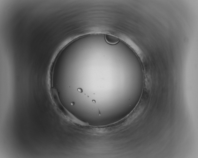 X0000102271096200807251344