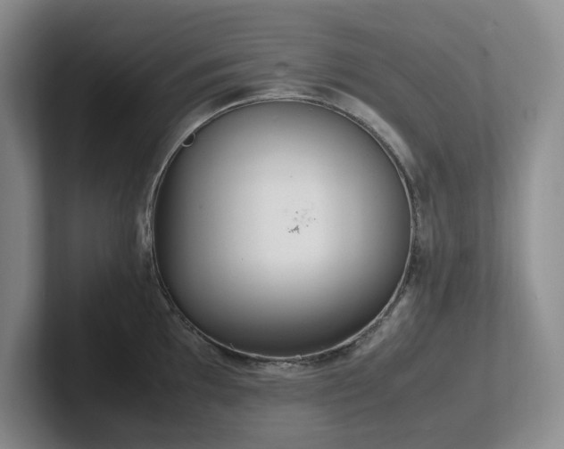X0000102271097200807251344