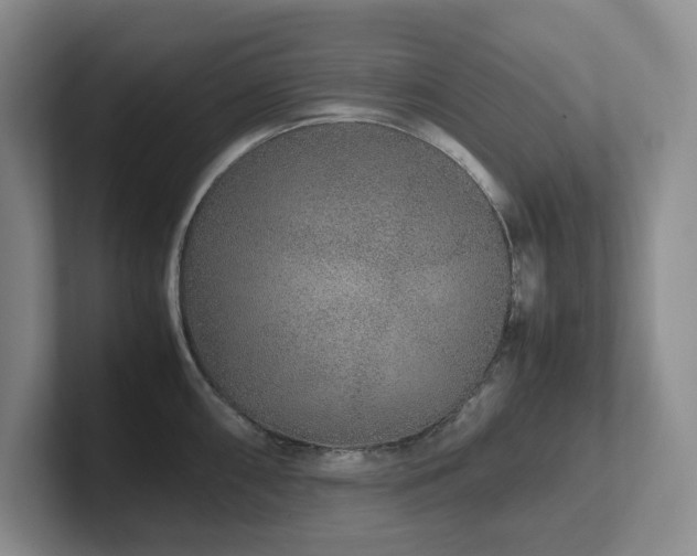 X0000102271098200807251344