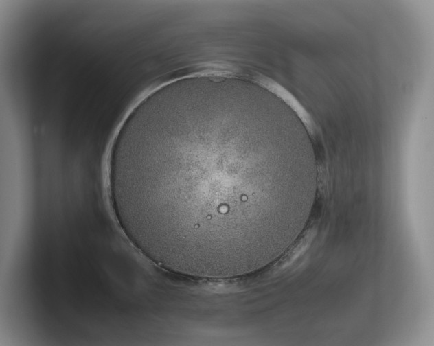 X0000102271099200807251344