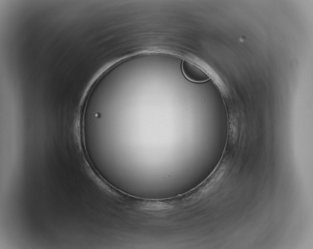 X0000102271100200807251344