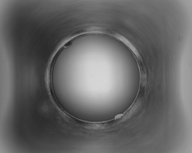 X0000102271101200807251344
