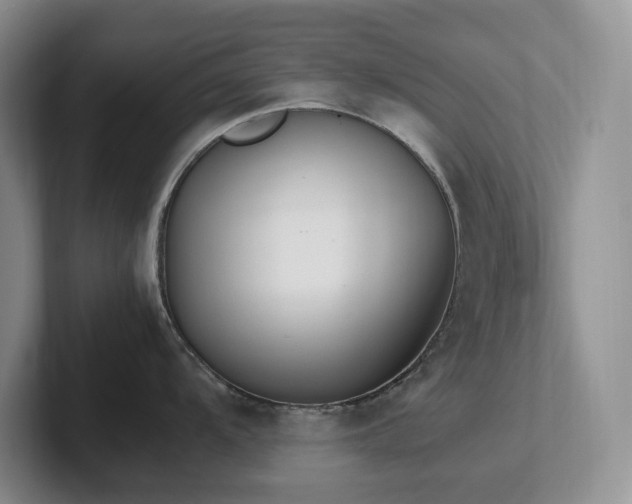 X0000102271104200807251344