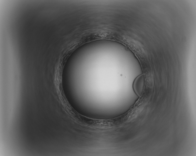 X0000102271105200807251344