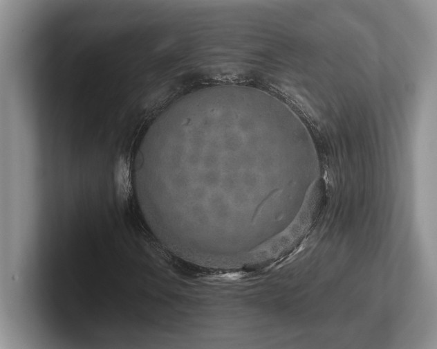 X0000102271106200807251344