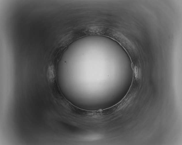 X0000102271107200807251344