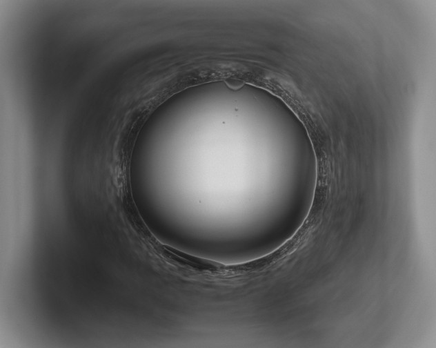 X0000102271109200807251344