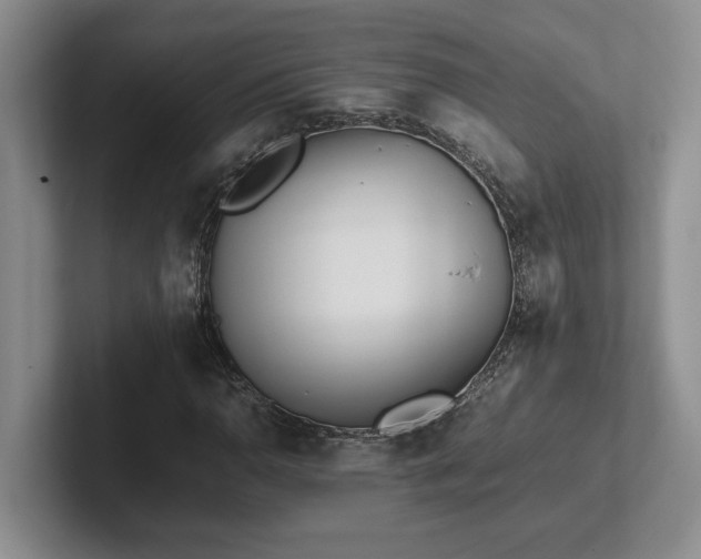 X0000102271110200807251344