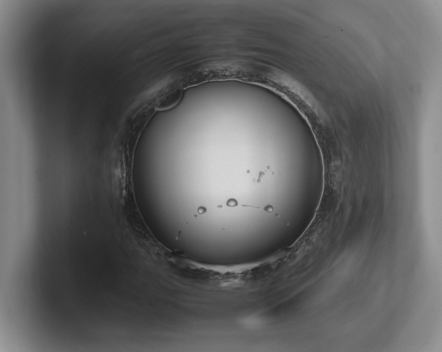 X0000102271111200807251344
