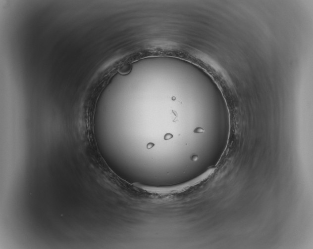 X0000102271112200807251344