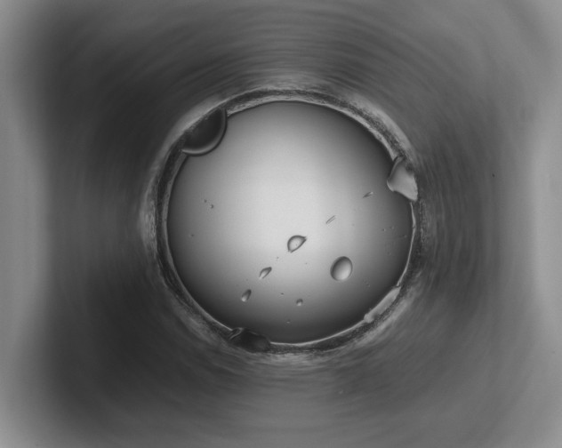 X0000102271114200807251344