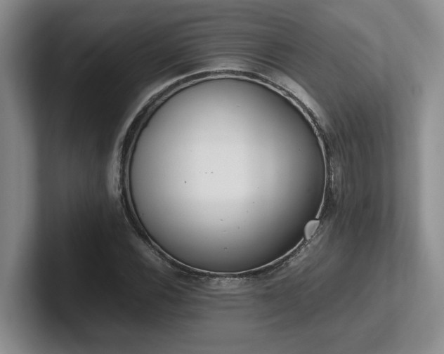 X0000102271116200807251344