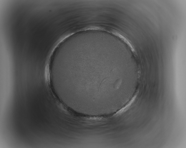 X0000102271117200807251344