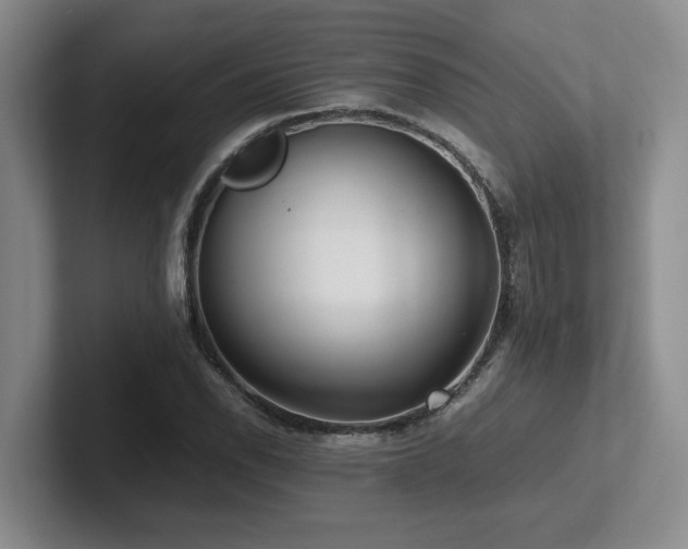 X0000102271118200807251344