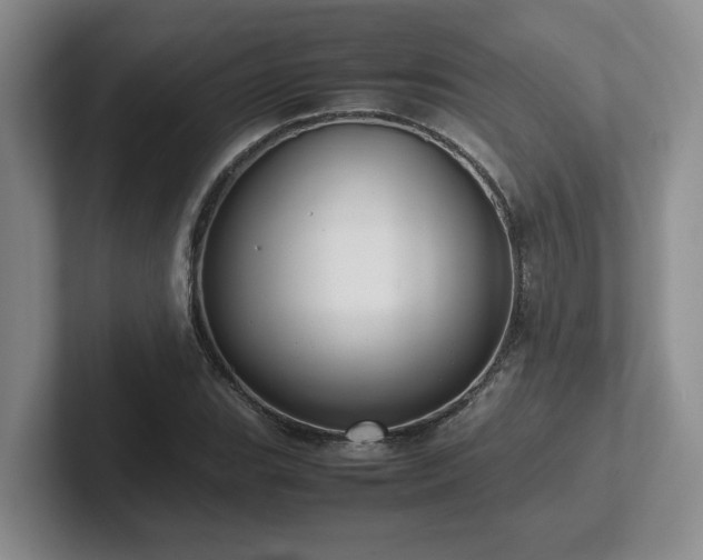 X0000102271119200807251344