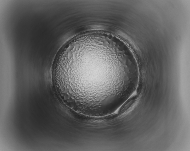X0000102271121200807251344