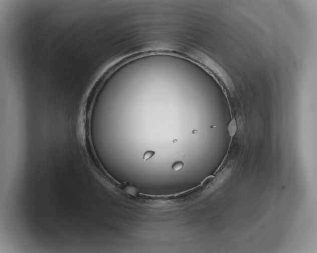 X0000102271124200807251344