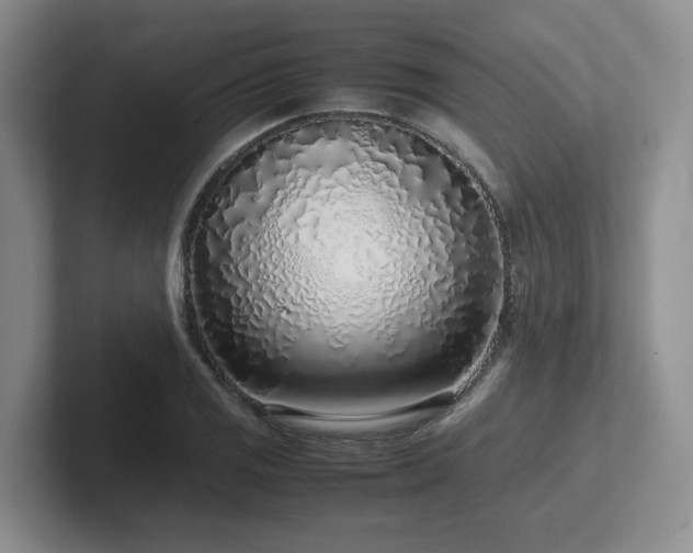 X0000102271125200807251344