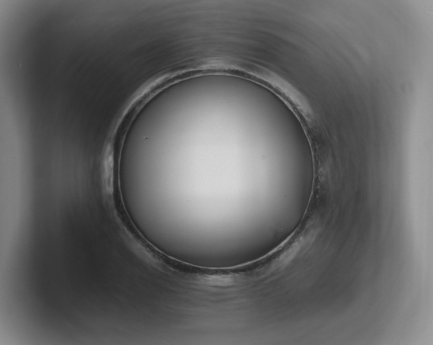 X0000102271126200807251344
