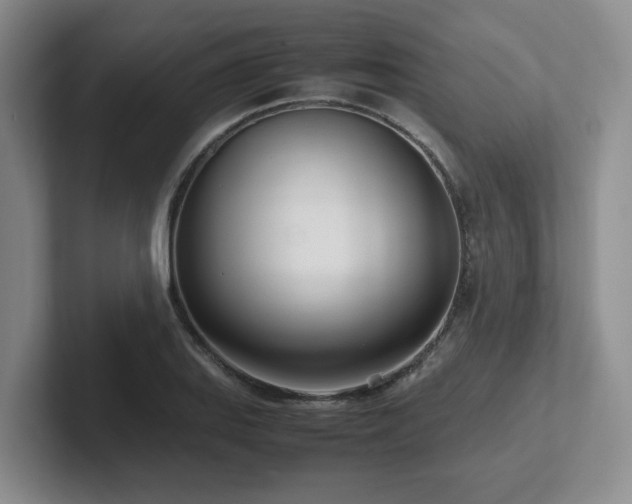 X0000102271127200807251344