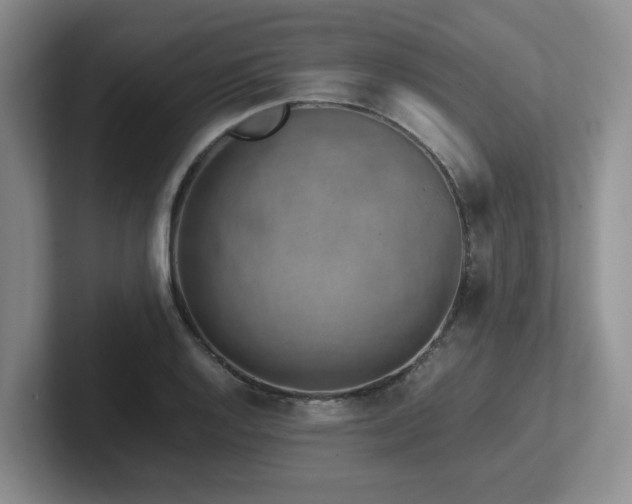 X0000102271128200807251344