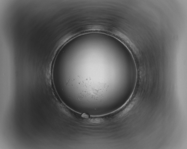X0000102271129200807251344