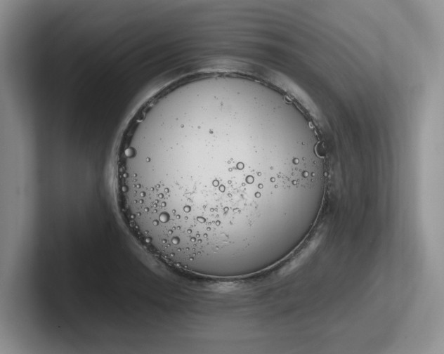 X0000102271130200807251344