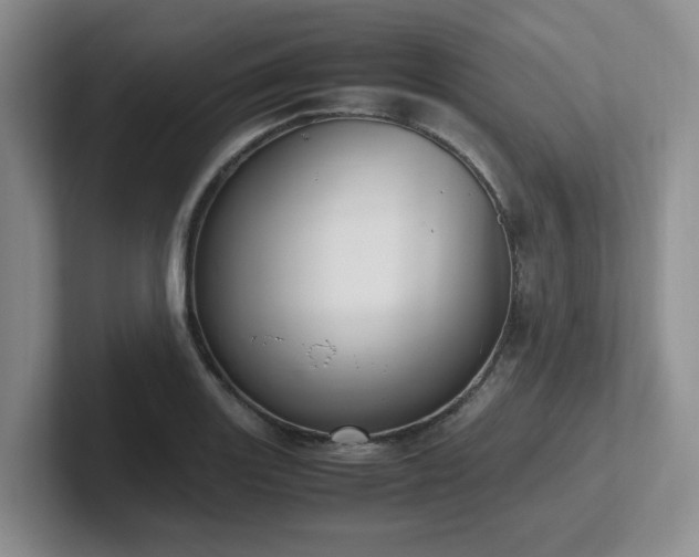 X0000102271131200807251344