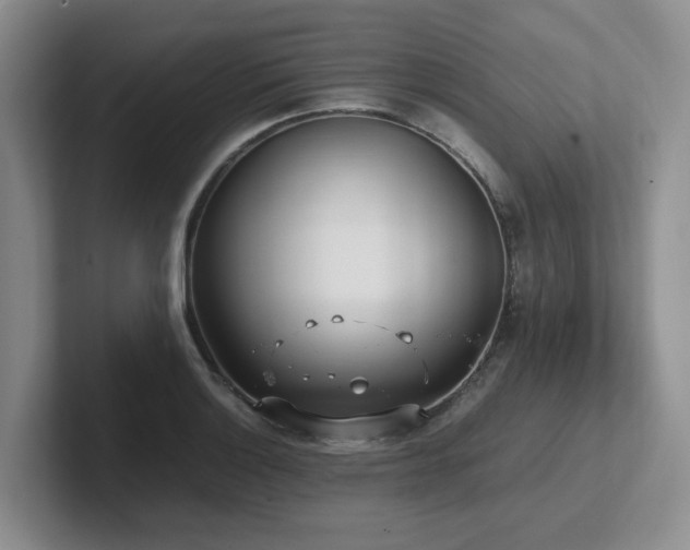 X0000102271132200807251344